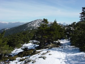 Sendero al Refugio de La Salamanca y Cabeza Lijar al fondo