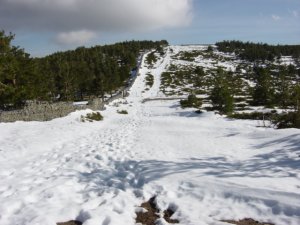 Suave descenso y ltimo repecho a Abantos