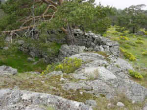 Nido de ametralladoras, ruinas de la Guerra Civil