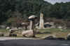 Puerto de Canencia menhir 