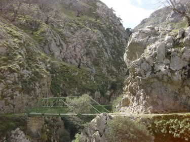 puente de bolin