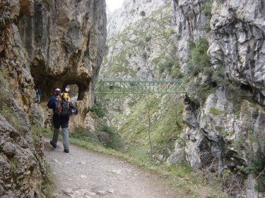Puente de los rebecos