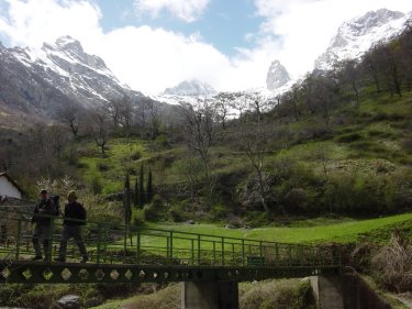 Puente de los Pinteros