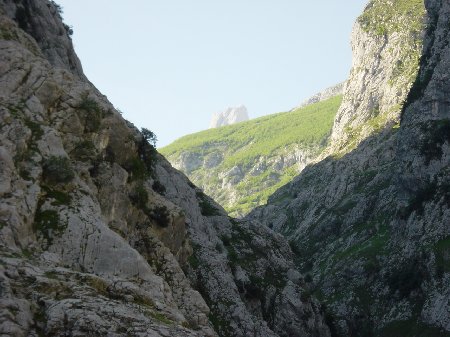 El Pico Urriellu al fondo