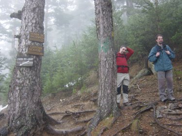 Carril del gallo, senda de los cospes, camino schmid