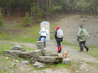 fuente de la reina, fuenfria
