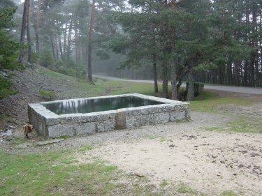 fuente de la reina, fuenfria