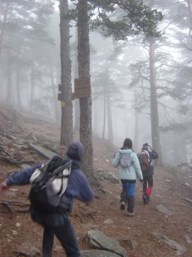 bifurcaci�n camino schmid y senda de los cospes