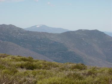 El Ocej�n al fondo, desde los Reajos Llanos