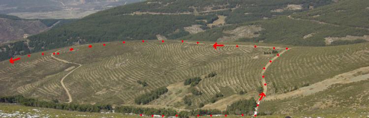 Ruta a seguir