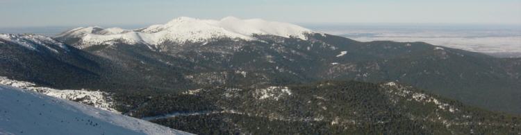 Montn de Trigo y Mujer Muerta