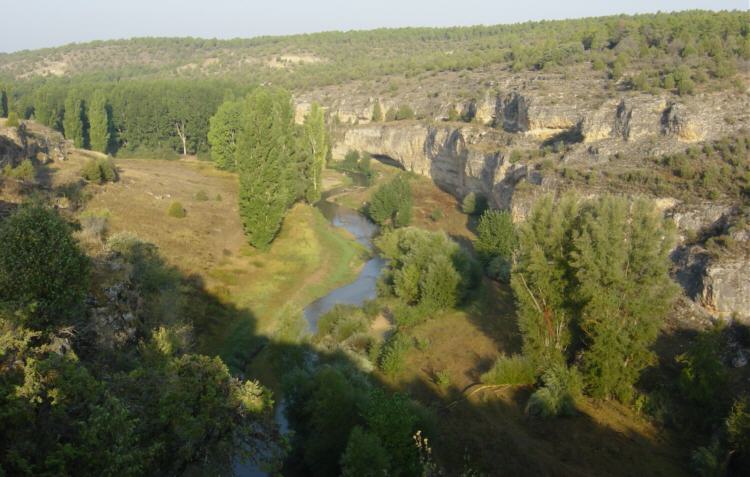Hoces del R�o Durat�n