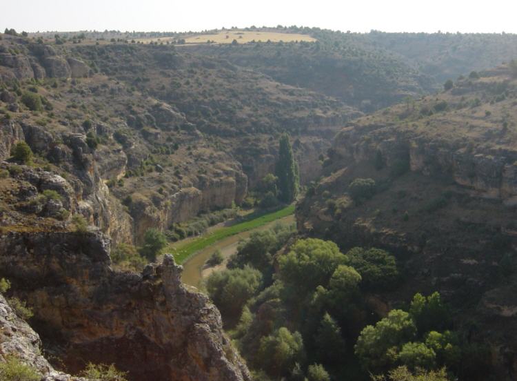 Hoces del R�o Durat�n
