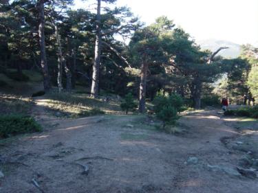 senda de los alevines