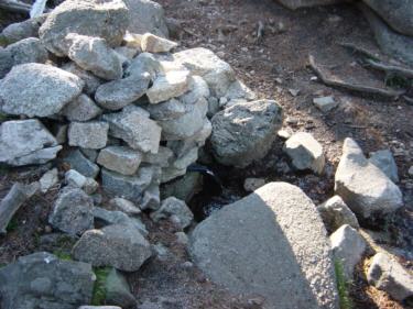 fuente de los alevines