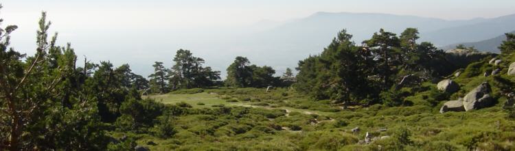 pradera de majalasna