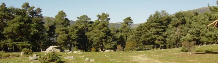 pradera de navarrulaque, al fondo el refugio fuente del mismo nombre