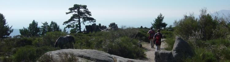 mirador luis rosales