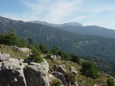 mirador luis rosales