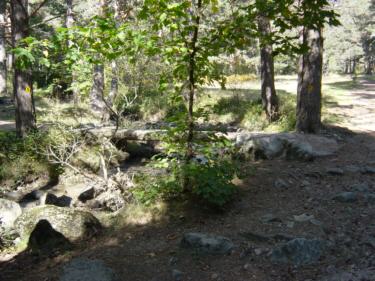 puente del encuentro en el arroyo de la venta