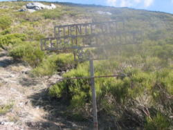 Fuente Pedrique