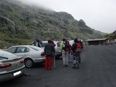 plataforma de gredos