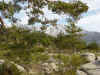 siete picos.