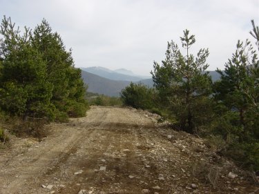 Pista forestal Valle del Ro Moros