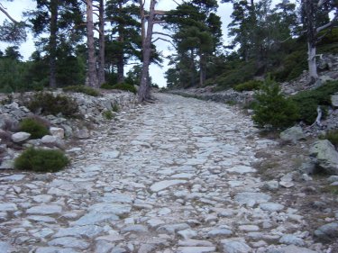 Calzada Romana de La Fuenfria