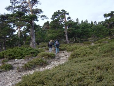 Subida a Cerro Minguete