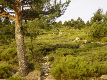 Subida a Cerro Minguete