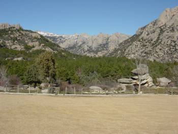 Canto Cochino "La Pedriza"