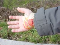 Mano de Javi trás la cura.