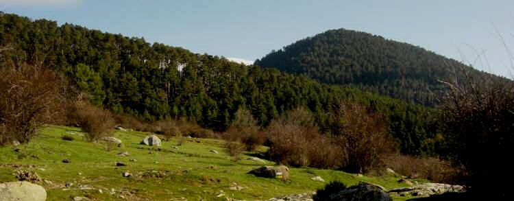 Cerro del Moo de la Ta Andrea. Desde el comienzo de la tapia de los jardines del Palacio de La Granja