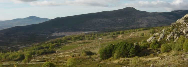 Cerro Del Pend�n