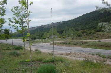 Km.12 M-610