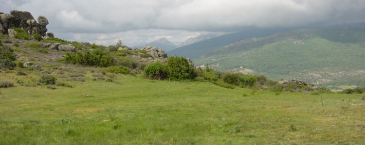 Prado Mostajo y al fondo La Pedriza