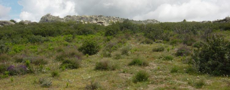 Las Buitreras desde Prado Mostajo