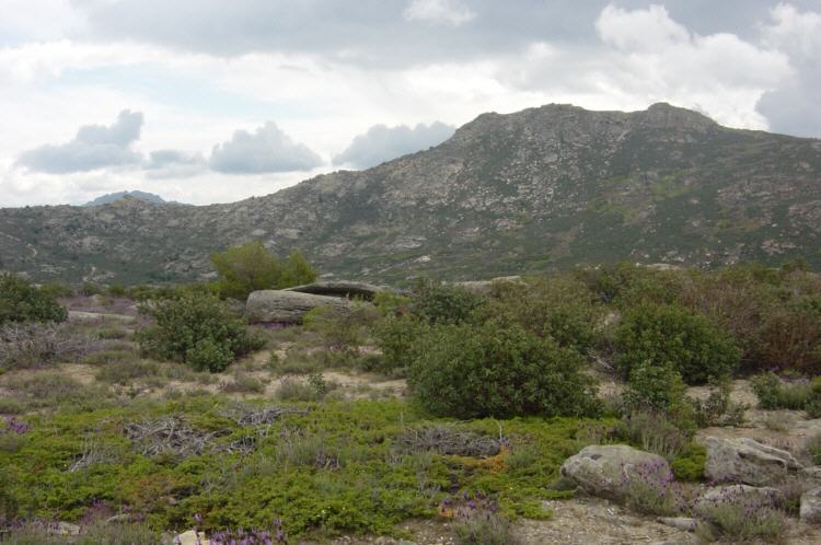 Cerro El Pend�n