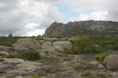 Las Buitreras