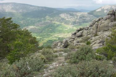 Senda al cortafuegos