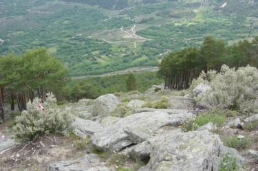 cortafuegos