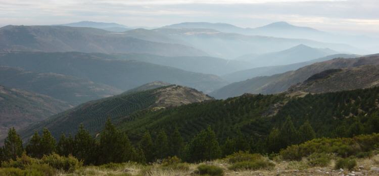 Sierra de Ayll�n. El Ocejon al fondo