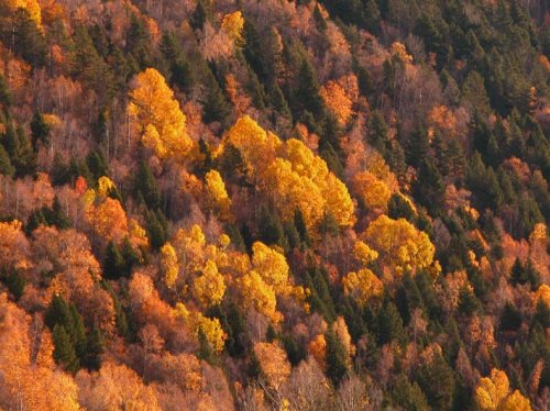 Pirineos; Enviada por Celso