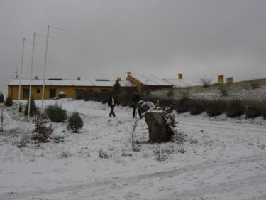 Casa Rural "Del verde al amarillo". Peñarrubias de Pirón. Segovia