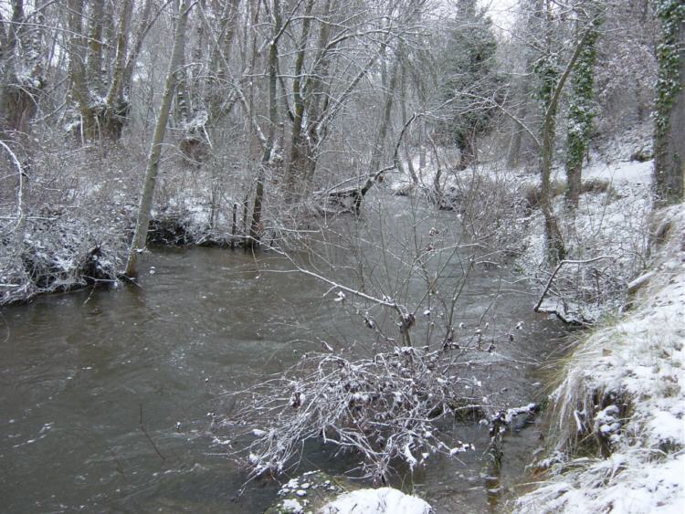 Río Pirón. Segovia