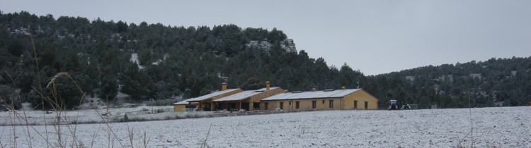 Casa Rural "Del verde al amarillo". Pearrubias de Pirn. Segovia