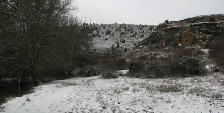 Río Viejo. Segovia