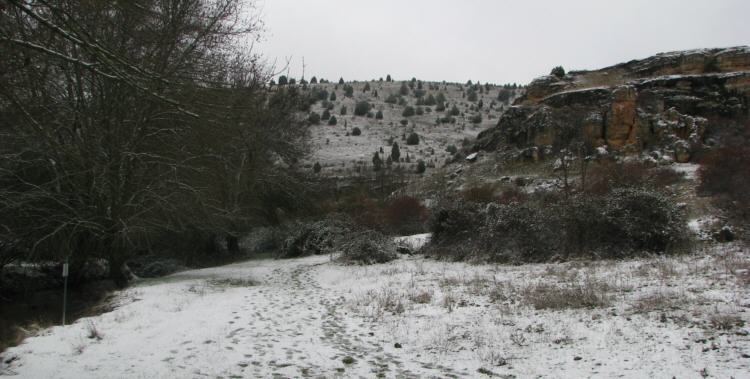 Ro Viejo. Segovia