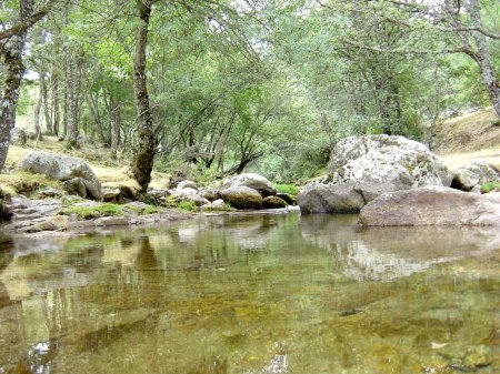 Arroyo Aguiln